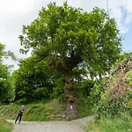 Azenha Da Lavoura Em Barrega Dom wakacyjny