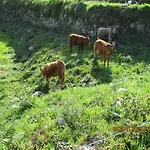 Azenha Da Lavoura Em Barrega * Celorico De Basto