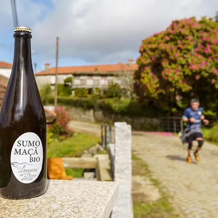 Azenha Da Lavoura Em Barrega Feriehus Celorico De Basto