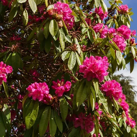 Azenha Da Lavoura Em Barrega 別荘 *