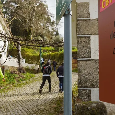 Azenha Da Lavoura Em Barrega * Celorico De Basto