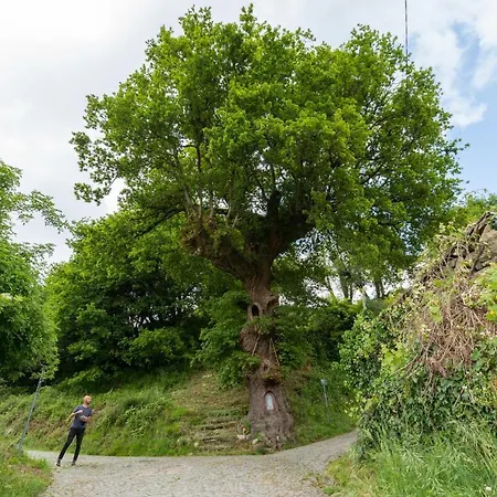 Azenha Da Lavoura Em Barrega Feriehus