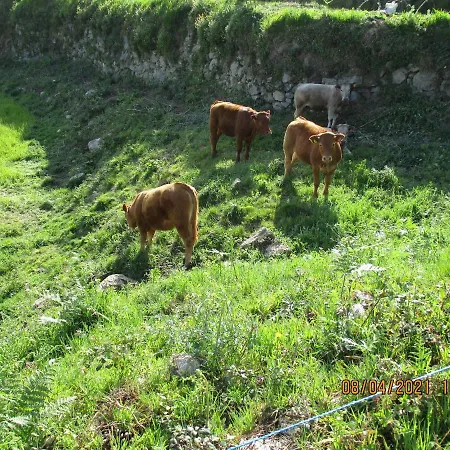 Azenha Da Lavoura Em Barrega * Celorico De Basto