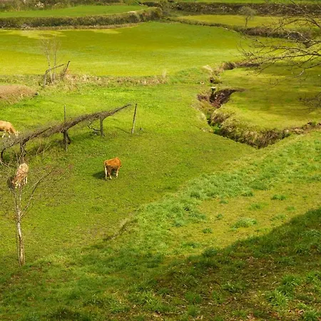 Nyaraló Azenha Da Lavoura Em Barrega Celorico de Basto