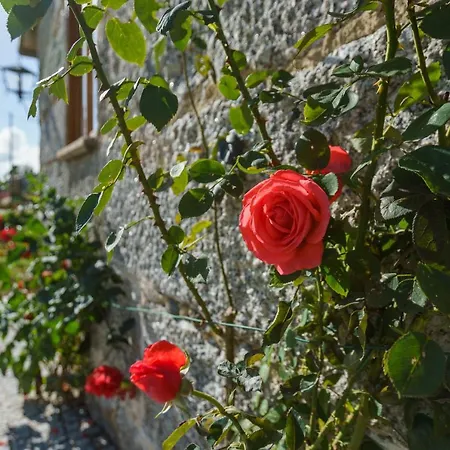 Azenha Da Lavoura Em Barrega Nyaraló