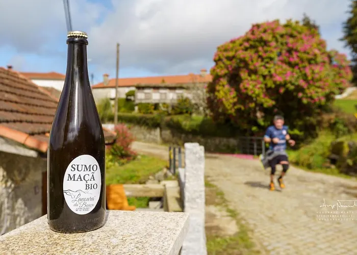 Azenha Da Lavoura Em Barrega Σπίτι διακοπών Celorico De Basto