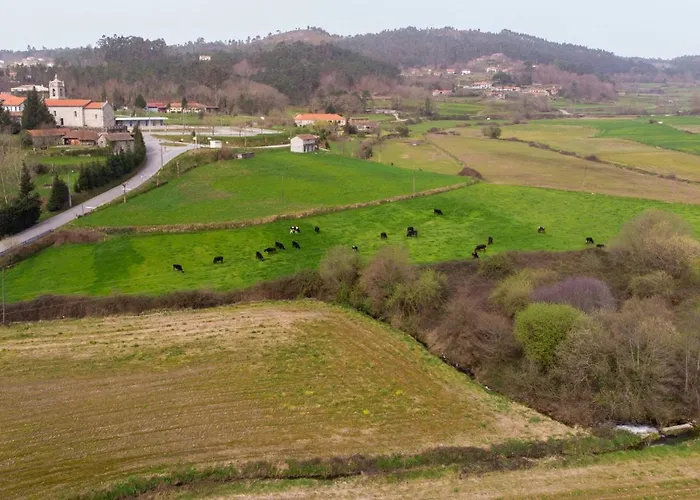 Azenha Da Lavoura Em Barrega Σπίτι διακοπών Celorico De Basto