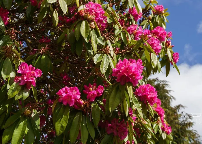 Azenha Da Lavoura Em Barrega Σπίτι διακοπών *