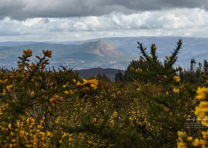 Azenha Da Lavoura Em Barrega Σπίτι διακοπών *