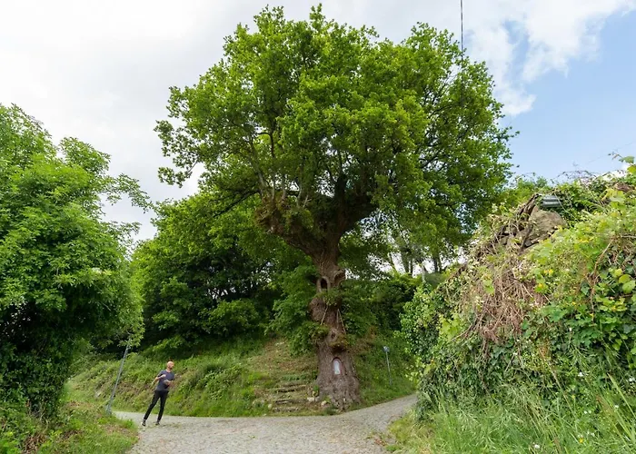 Azenha Da Lavoura Em Barrega Σπίτι διακοπών