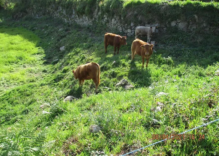Azenha Da Lavoura Em Barrega * セロリコ・デ・バスト