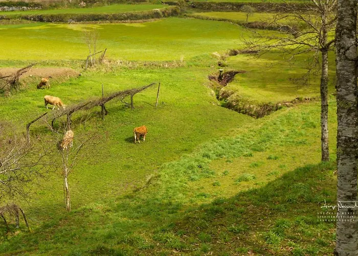 Σπίτι διακοπών Azenha Da Lavoura Em Barrega Celorico De Basto