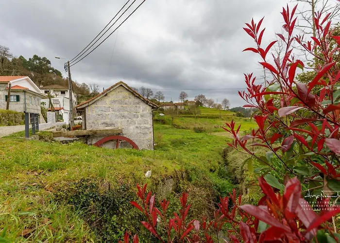 別荘 Azenha Da Lavoura Em Barrega セロリコ・デ・バスト
