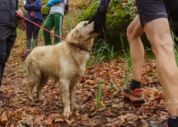 別荘 Azenha Da Lavoura Em Barrega セロリコ・デ・バスト