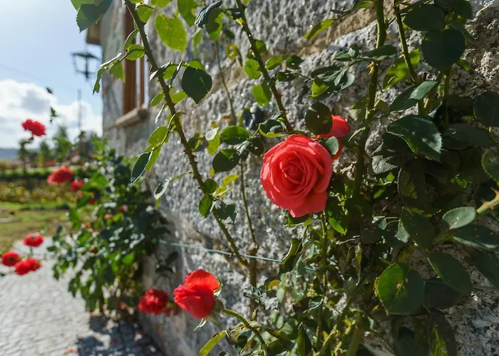Azenha Da Lavoura Em Barrega 別荘
