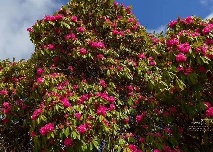 Azenha Da Lavoura Em Barrega