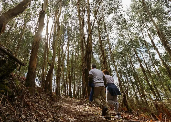 Azenha Da Lavoura Em Barrega 別荘 セロリコ・デ・バスト