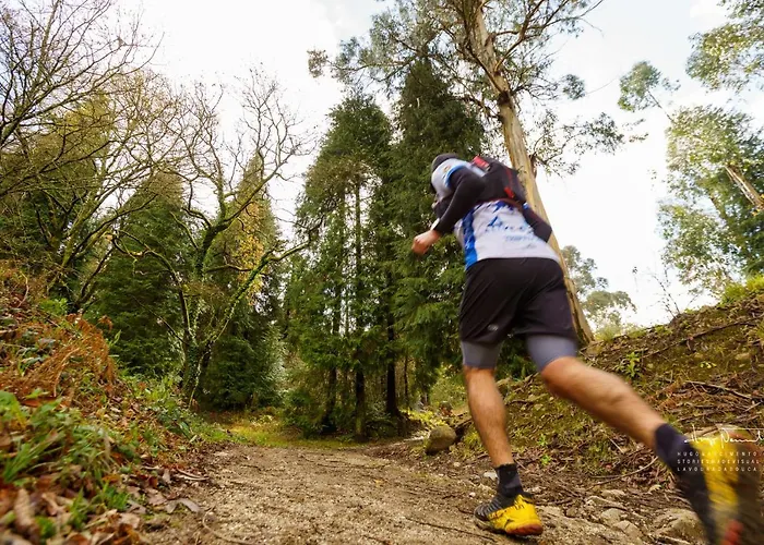 Azenha Da Lavoura Em Barrega 別荘 *