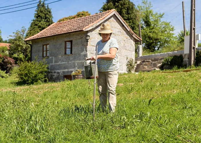 Azenha Da Lavoura Em Barrega