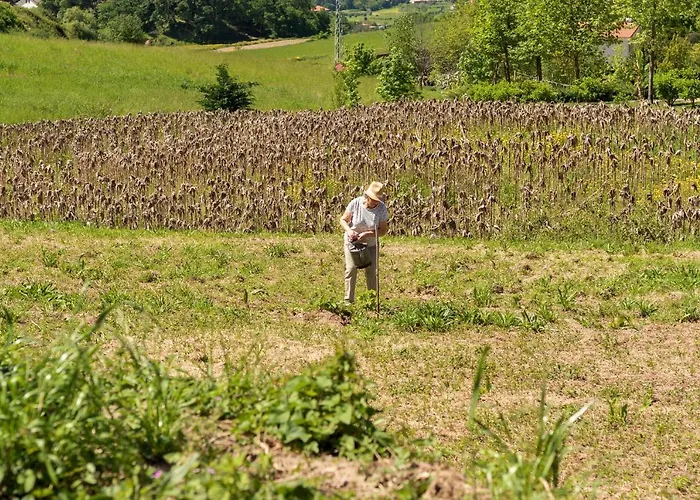Azenha Da Lavoura Em Barrega *
